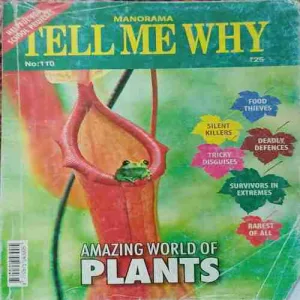 Tell me why ( November 2015 )