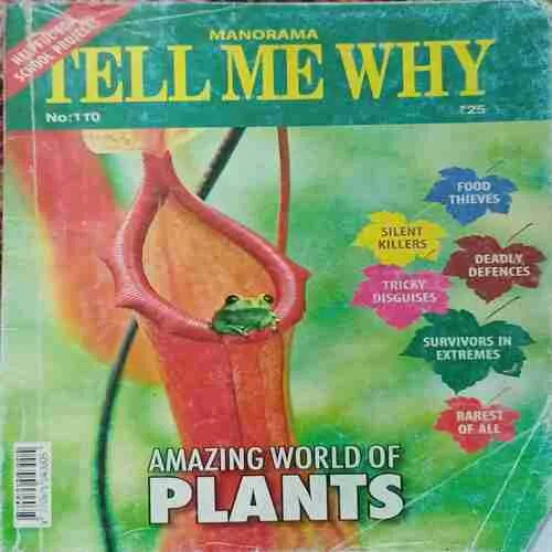 Tell me why ( November 2015 )