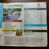 Document_32