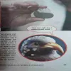 Document_39