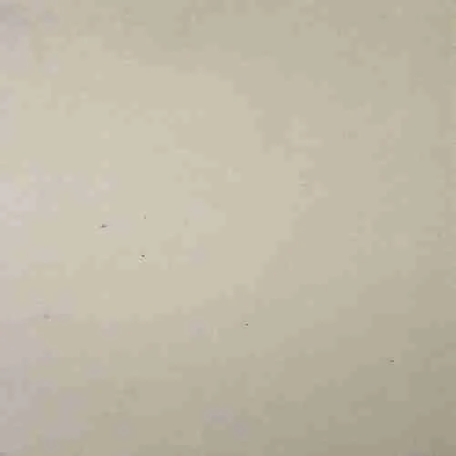 Document_4
