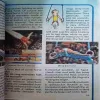 Document_43