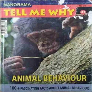 Tell me why ( February 2010 )