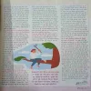Document_50