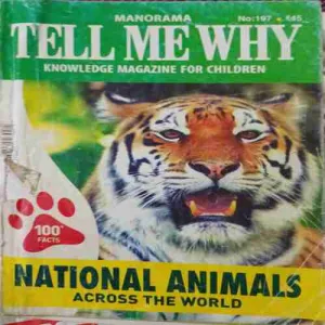 Tell me why ( February 2023 )