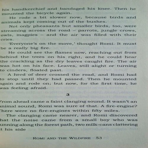 Document_55
