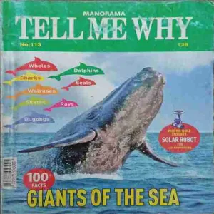 Tell me why ( February 2016 )