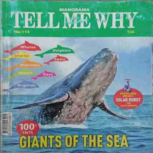 Tell me why ( February 2016 )