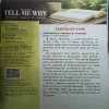 Document_6