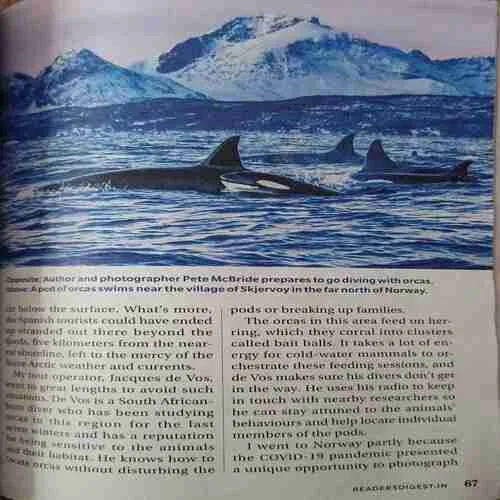 Document_63