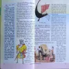 Document_67