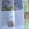 Document_72