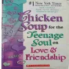 Chicken soup ( No. of Pages = 300 )