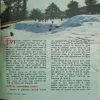 Document_91
