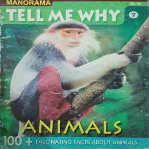 Tell me why ( April 2007 )