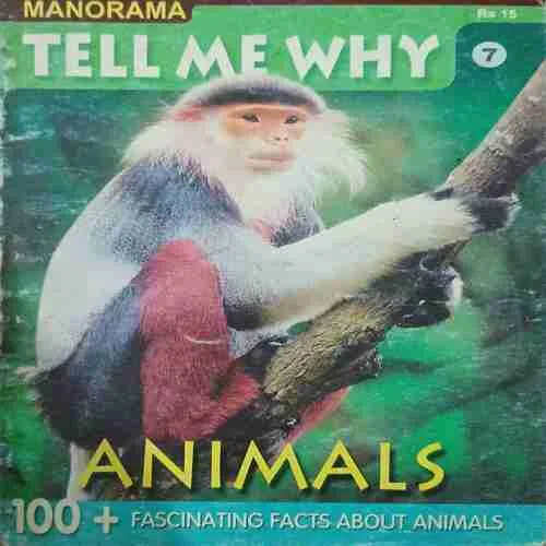 Tell me why ( April 2007 )