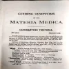 The guiding symptoms of our materia medica (pages 604)