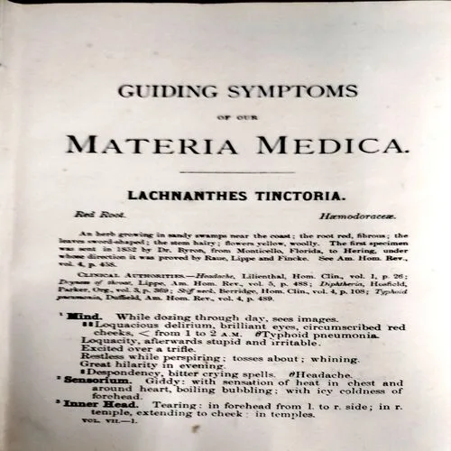 The guiding symptoms of our materia medica (pages 604)