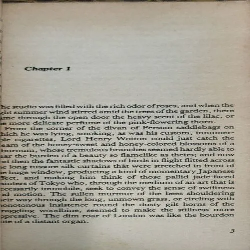 The Picture Of The Dorian Gray (pages 234)