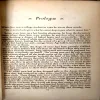 Shadow of the almighty (pages 256)