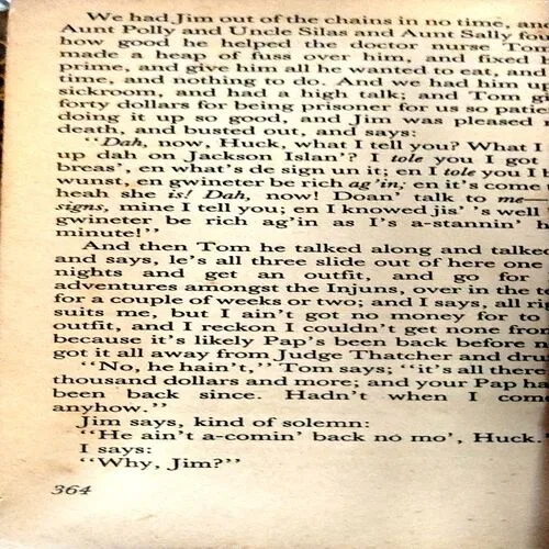 Adventure of the huckleberry finn (pages 364)