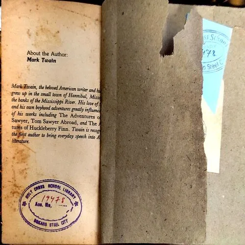 Adventure of the huckleberry finn (pages 364)