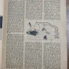 Document 10_50