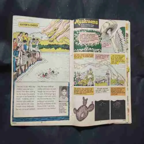 Document 15_38