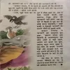 Document 2_143