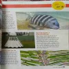 Document 2_83