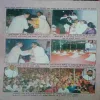 Document 3_66