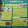 Document 3_80