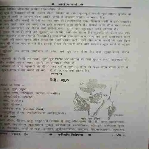 Document 3_90