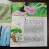 Document 4_8