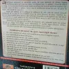 Document 4_80