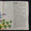 Document 8_17