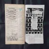 Document 8_82
