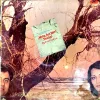 Main Aur Meri Tanhai (vinyl cover))