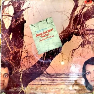 Main Aur Meri Tanhai (vinyl cover))