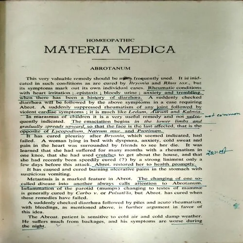 Lectures on homoeopathic materia medica (pages 1132)