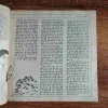 Document_119