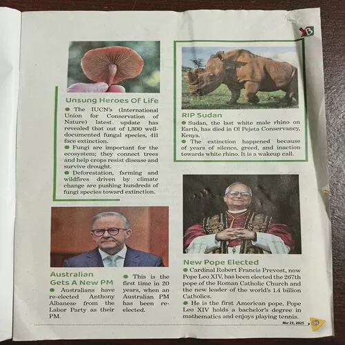 Document_2