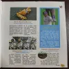 Document_20