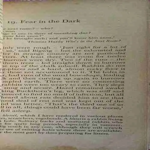 Document_23