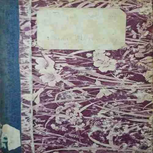 Eight Days of Luke (No. of pages =173 ) (by =Diana Wynne jones )