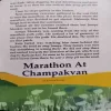 Document_33