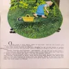 Document_4