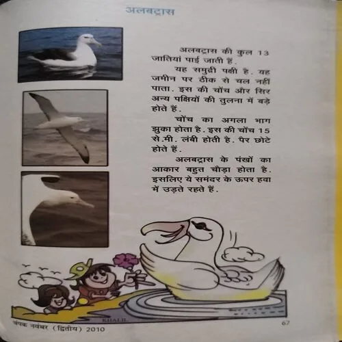 Document_44