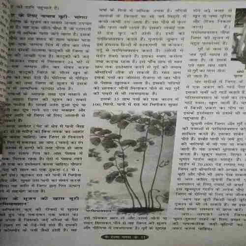 Document_56