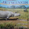 Jet wings ( February 2005 )